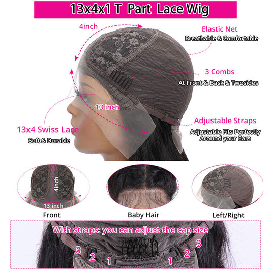 Lace Frontal  Black With Gray Highlighter Brazilian Human Hair Wig